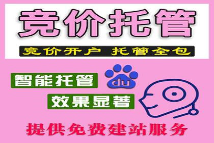 案例分析：信息流广告精准投放技巧